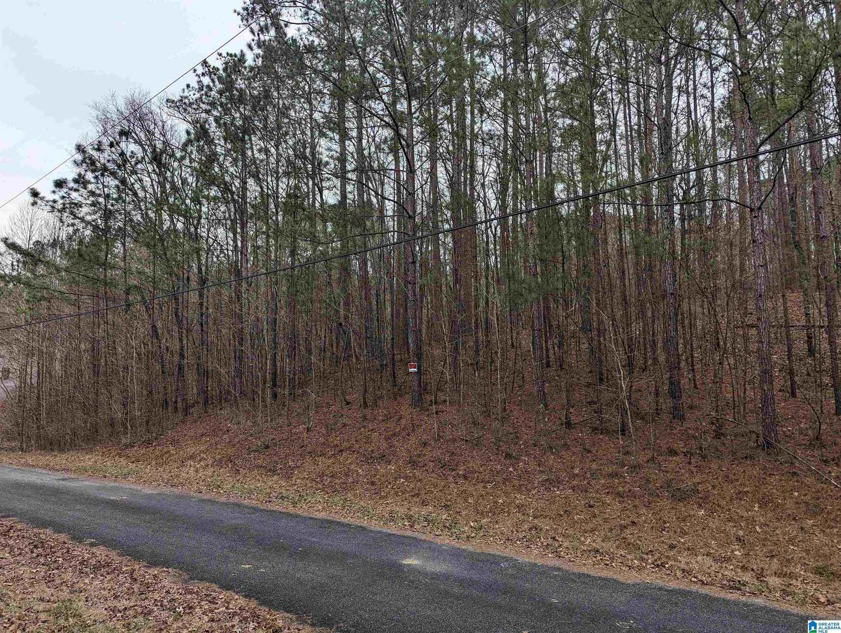 Lot 1 HENDERSON Rd  