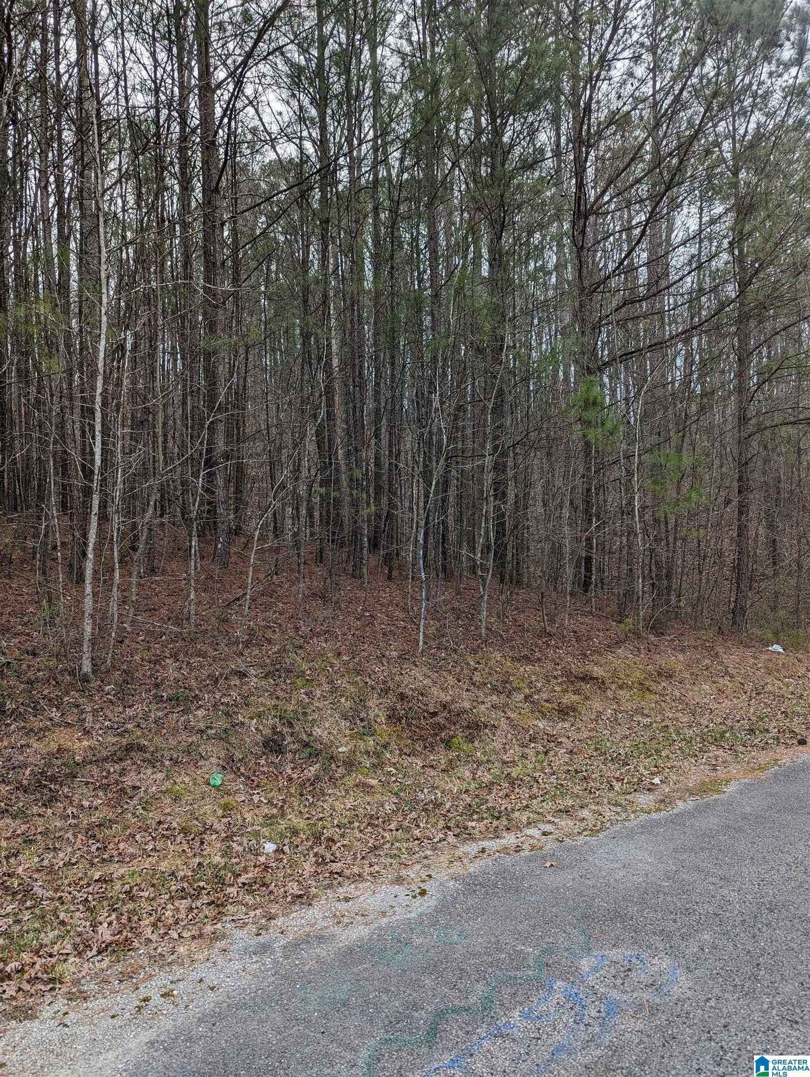Lot 2 HENDERSON Rd  