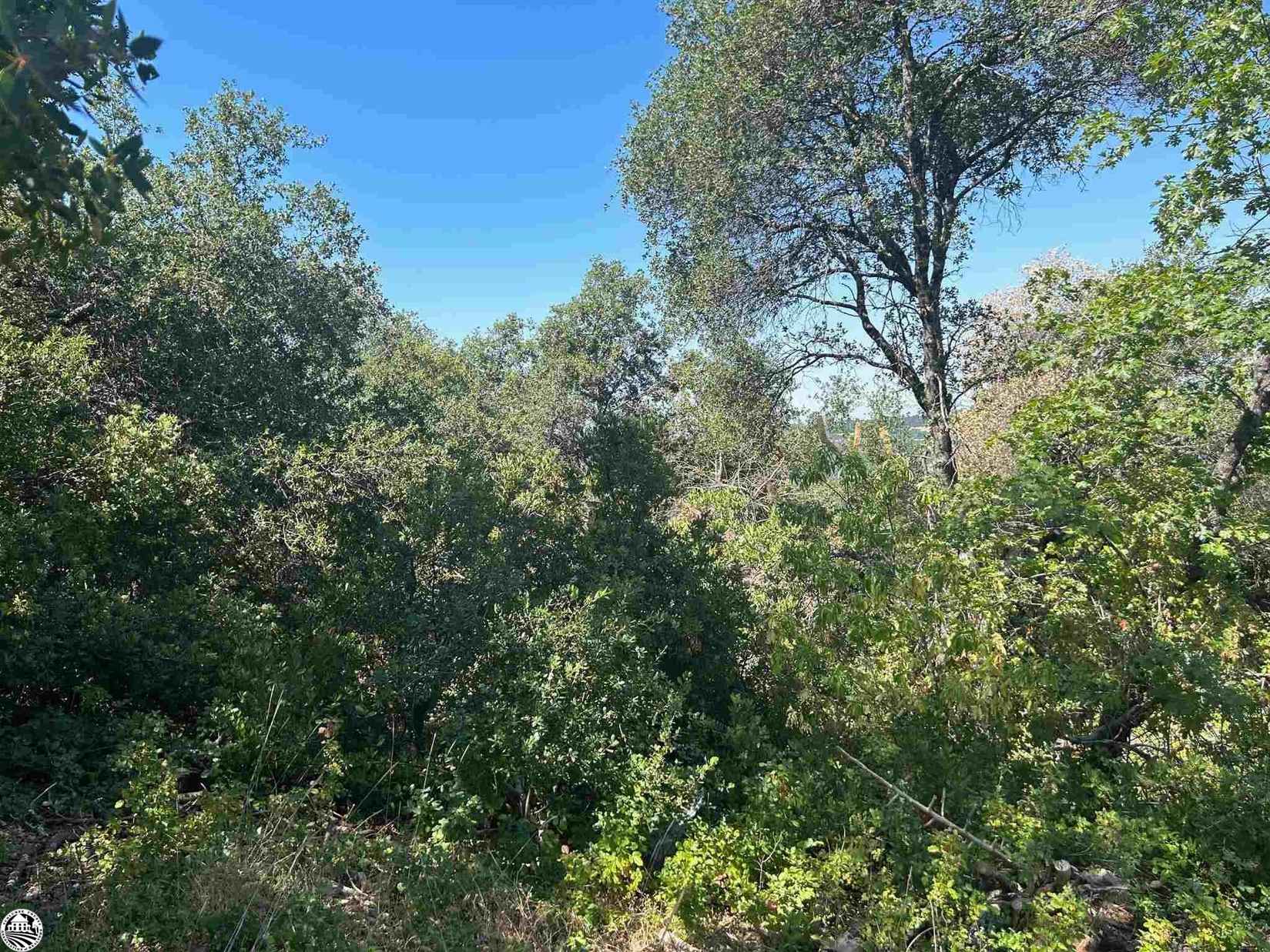 18930 Toyon  