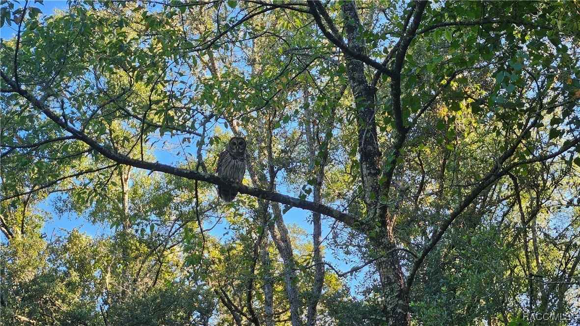 1407 W Starbright Pl  