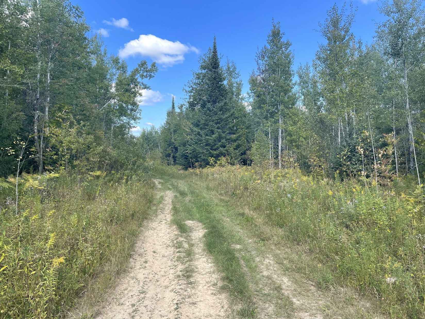 40 ACRES E SIMMONS RD  
