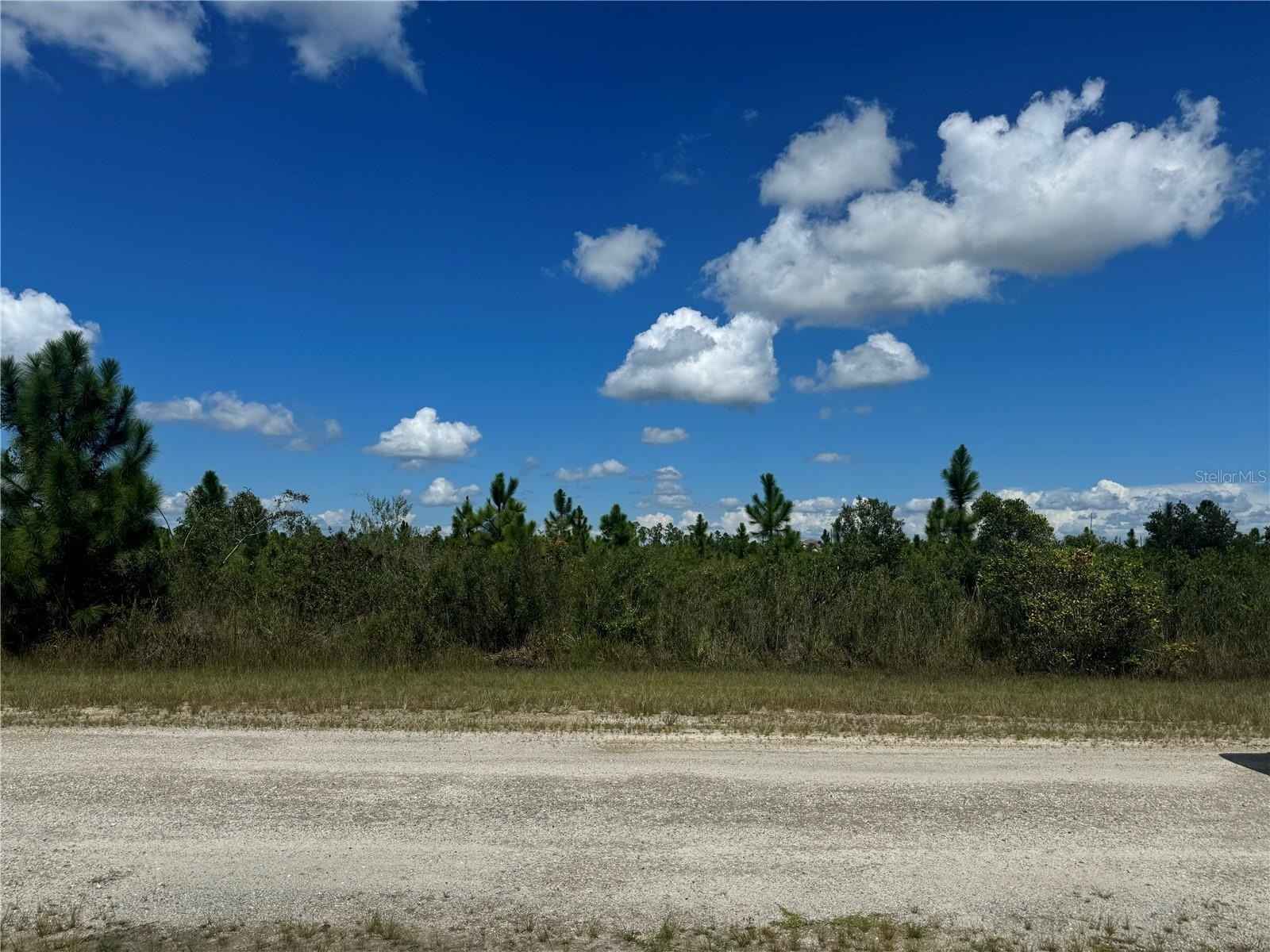 406 Portulaca Dr  