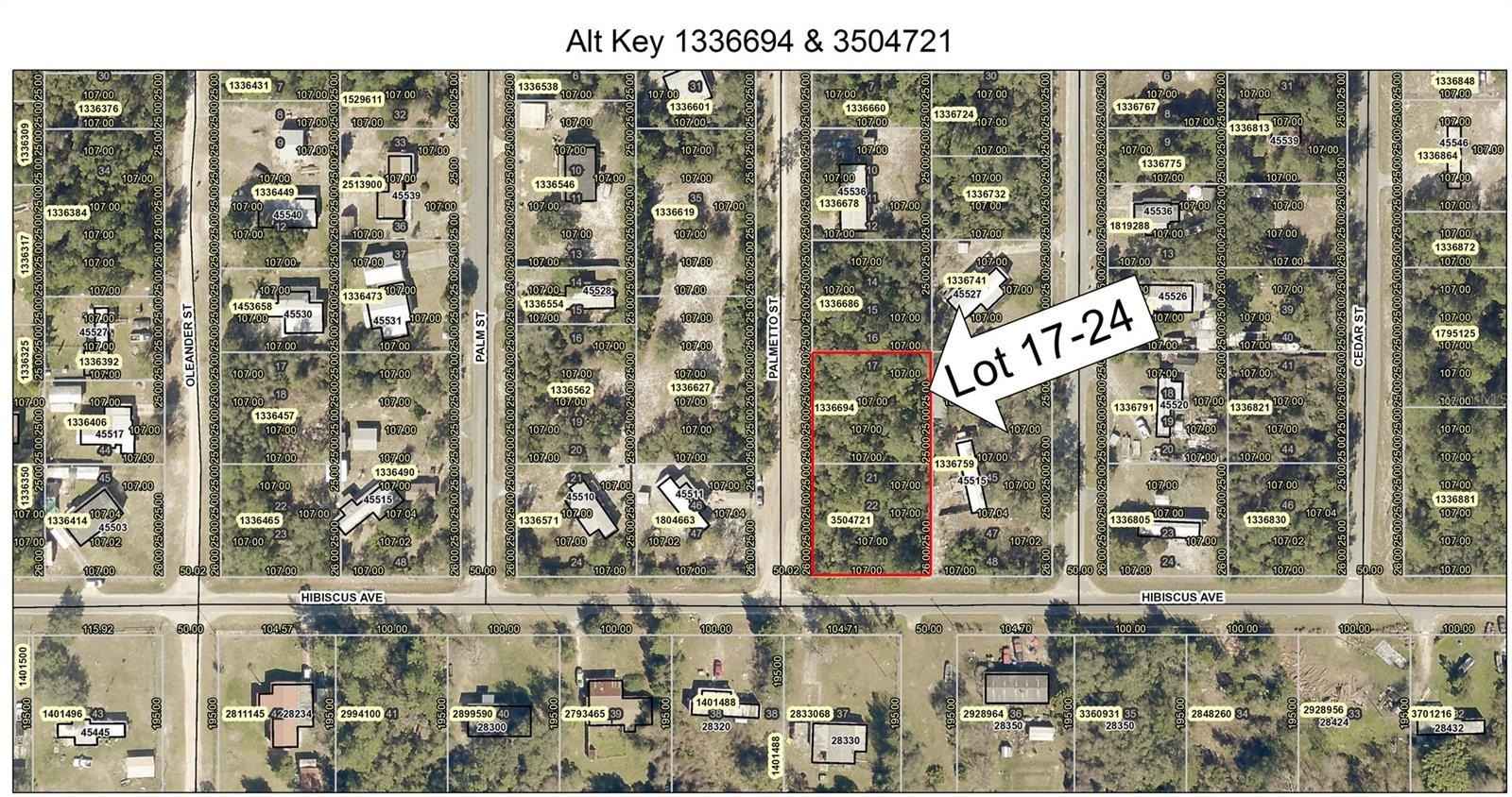 Lot 17-24 PALMETTO St  