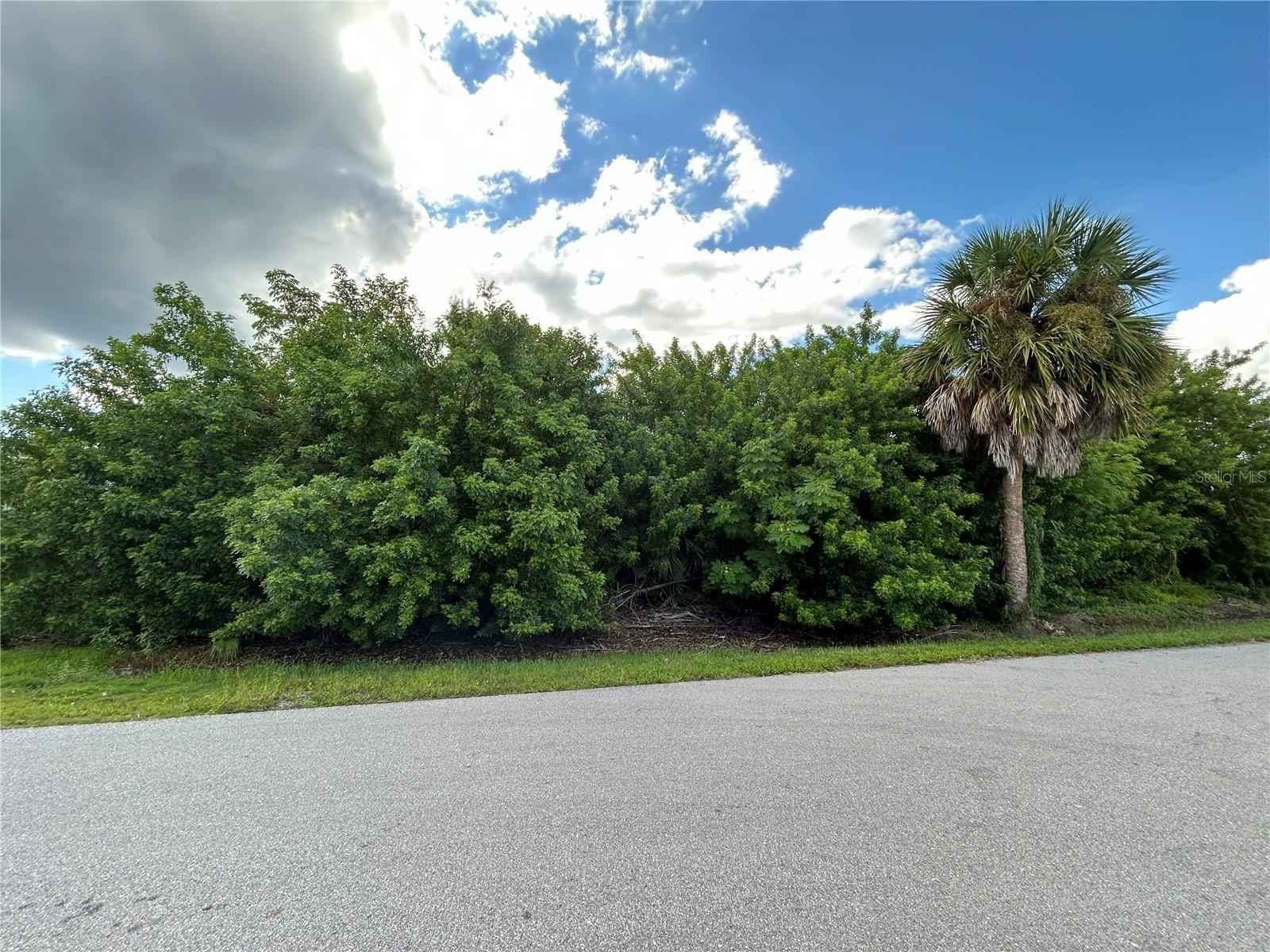 3631 MAGNOLIA Way  