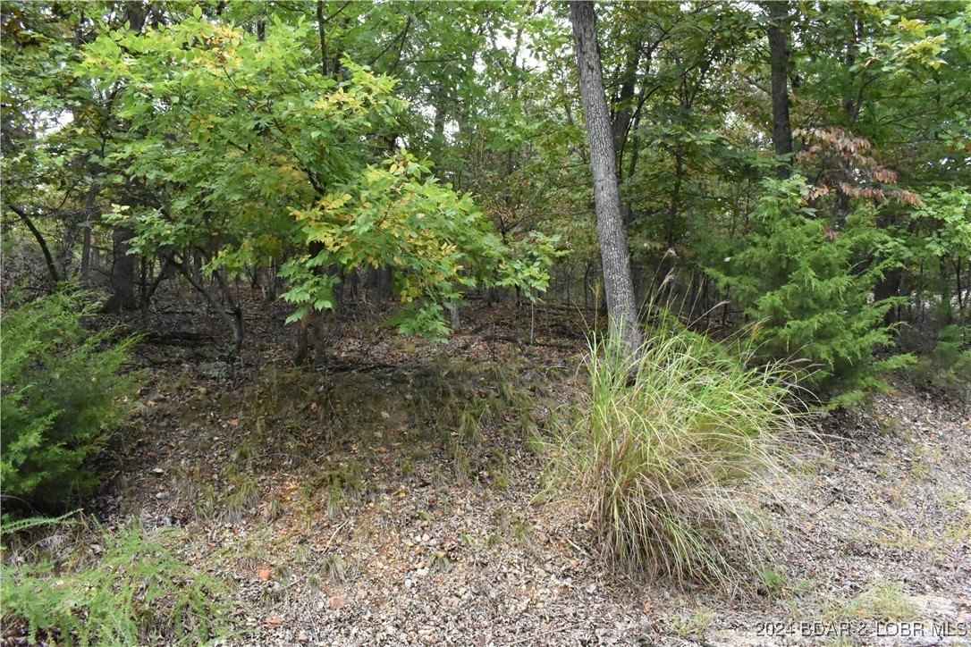 Lot 1213 Spring Crk Ct  