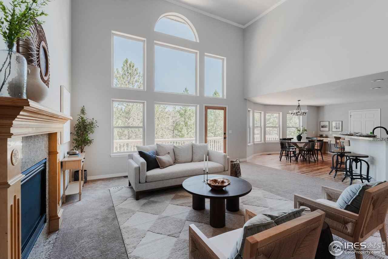 3105 Dandy Lion Ln  
