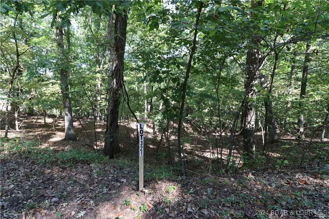 321 Oak Dr  