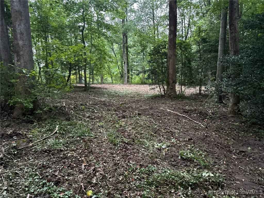 Lot 2 Wilton Cvs  