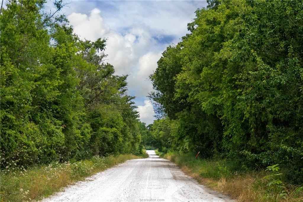 Tbd County Rd 109  