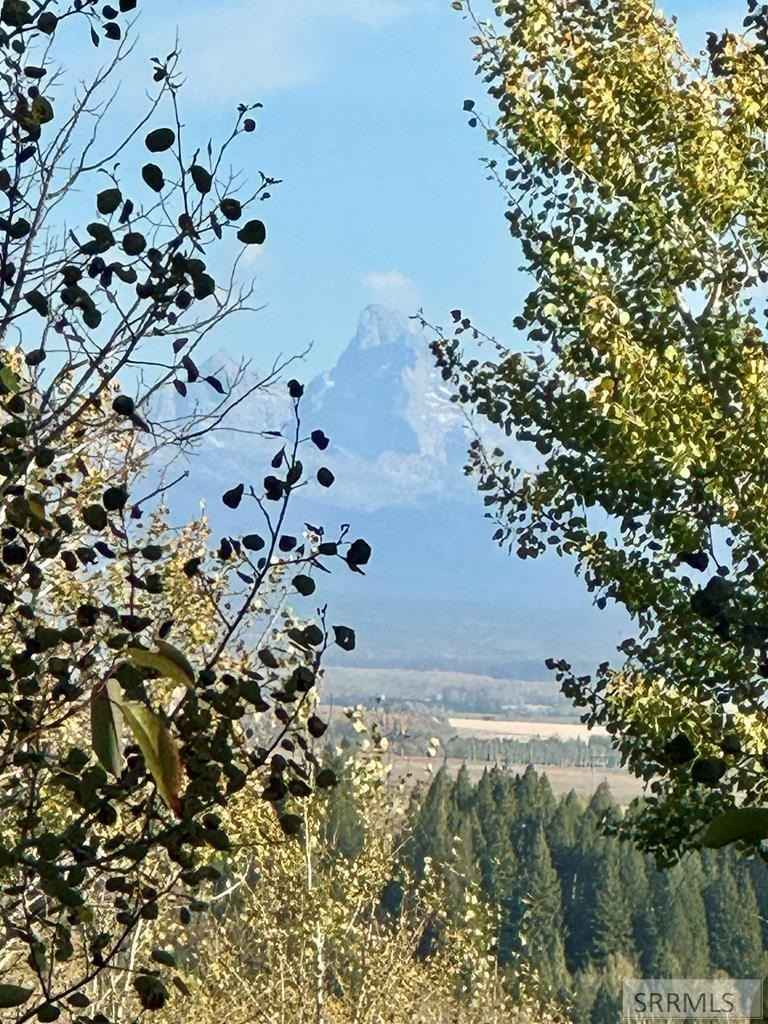 4051 Golden Stone Ln  