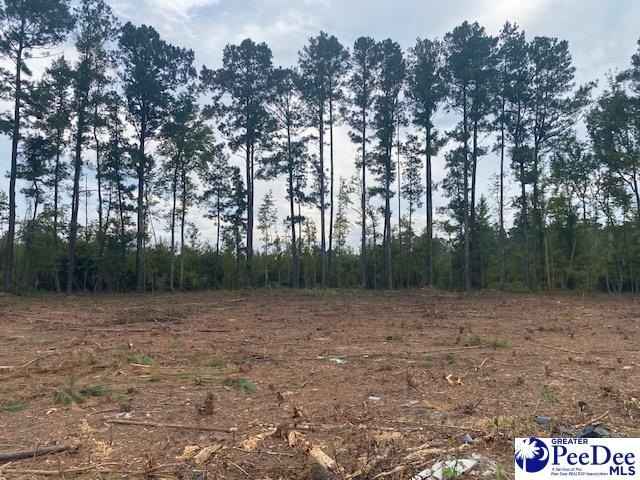 Lot 1-D Daniels Ln  