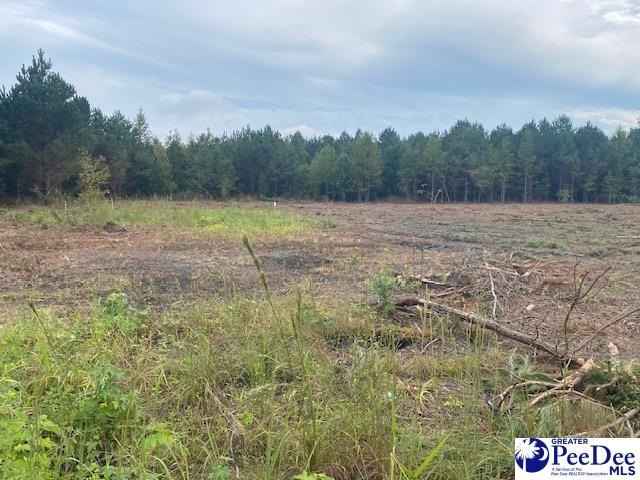 Lot 1-A Daniels Ln  