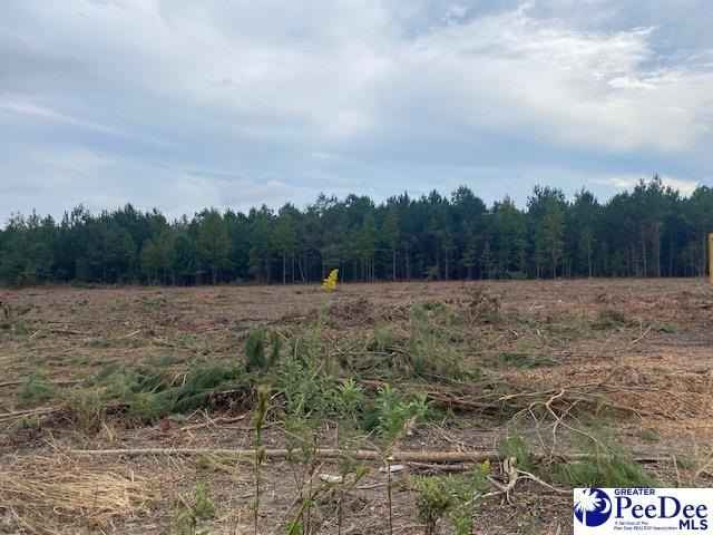 Lot 1-C Daniels Ln  