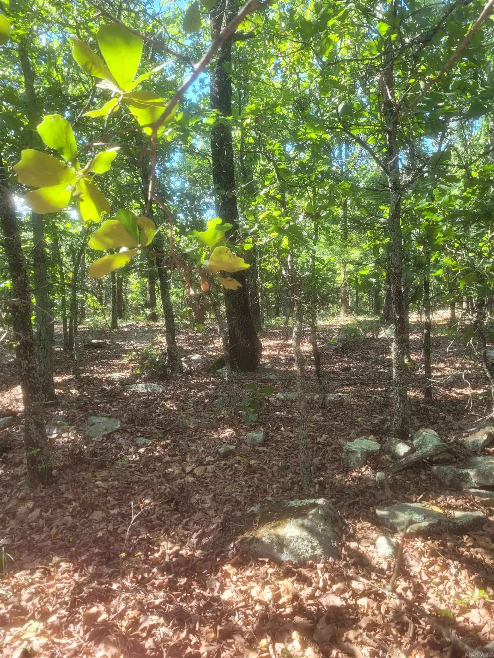 Lot 8 West Mountain Spgs Rd  