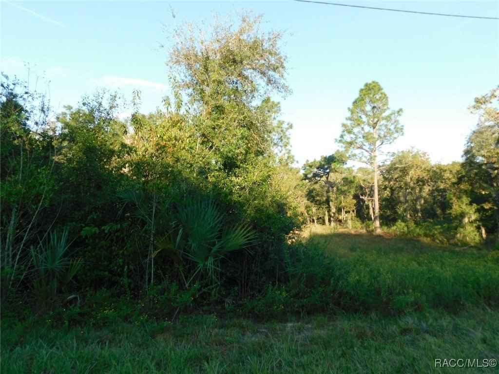 11708 N Belluzzi Ter  