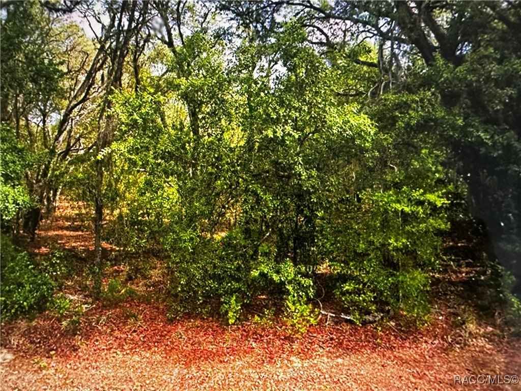 273 W Massachusetts St  