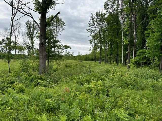 00 County Road W Poertner Rd  