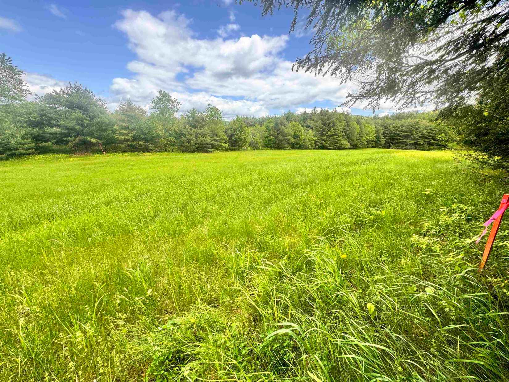 Lot 3 Wildflower Way  