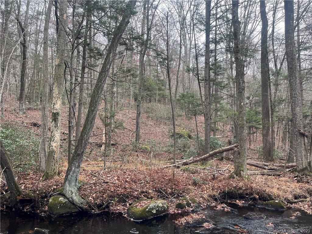 0 Sheepskin Hollow Rd North  