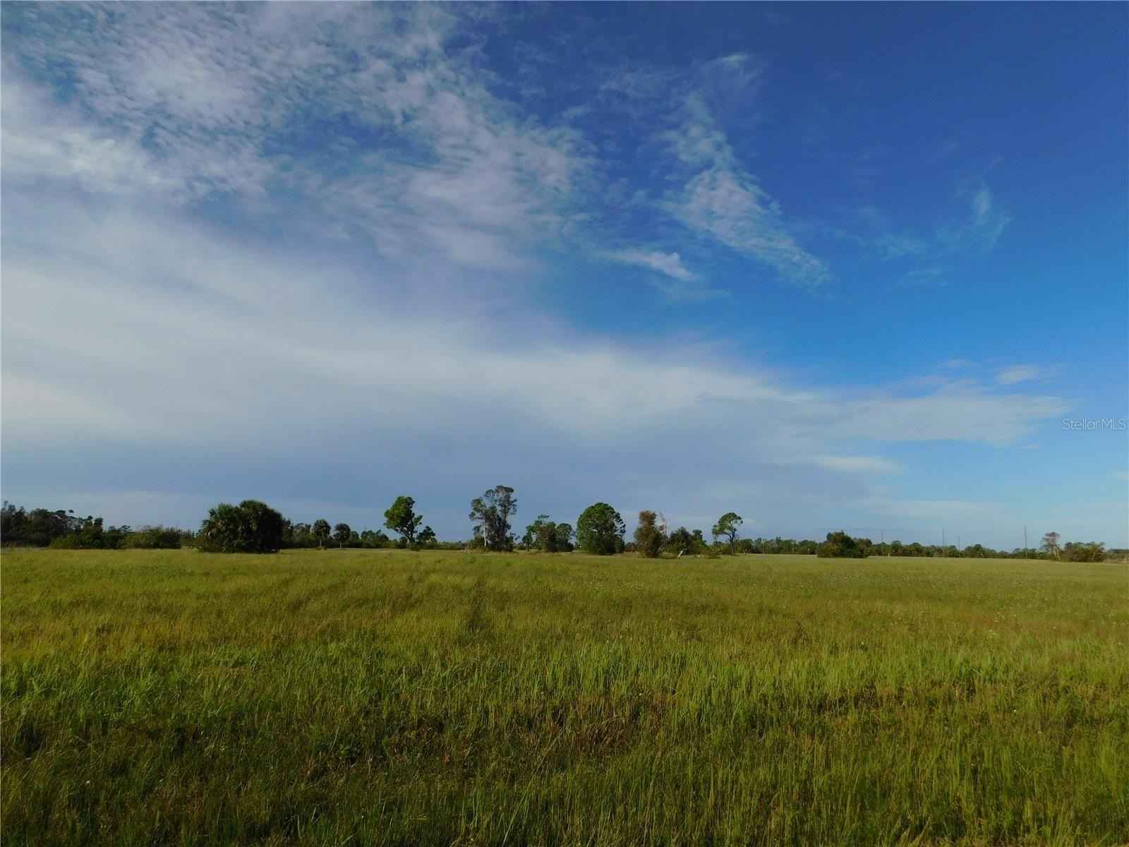 12435 CHILIPEPPER Dr  