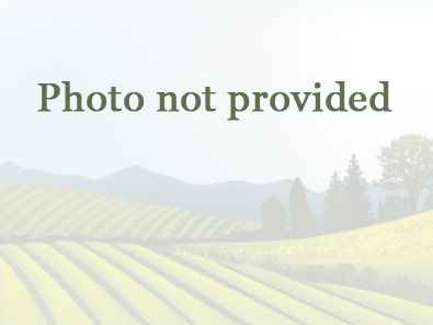 364 Gilead St  