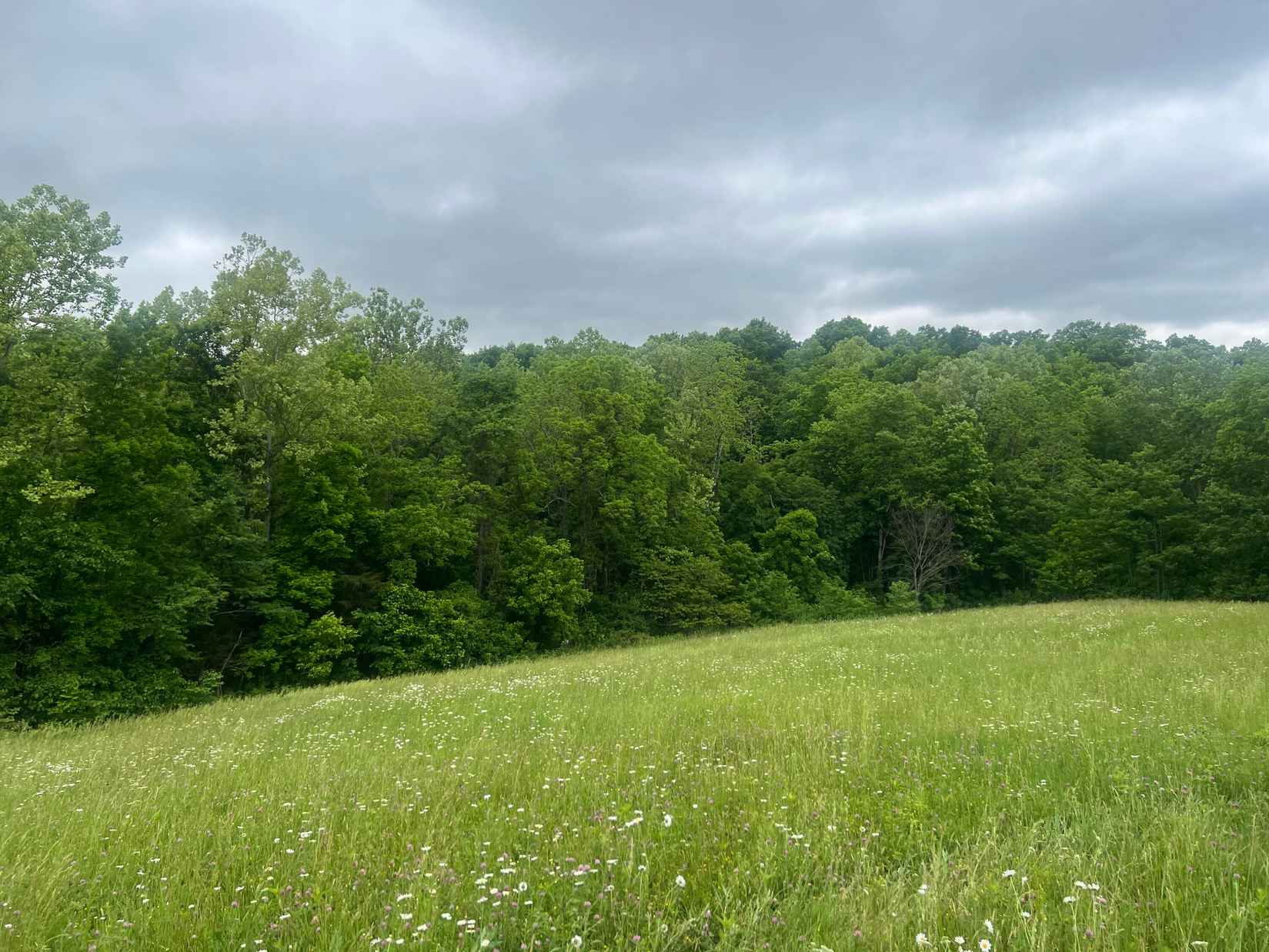 tract 1 Pleasant Grv Rd  