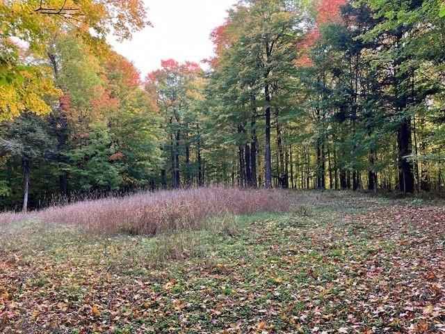 1323 DEER Path  