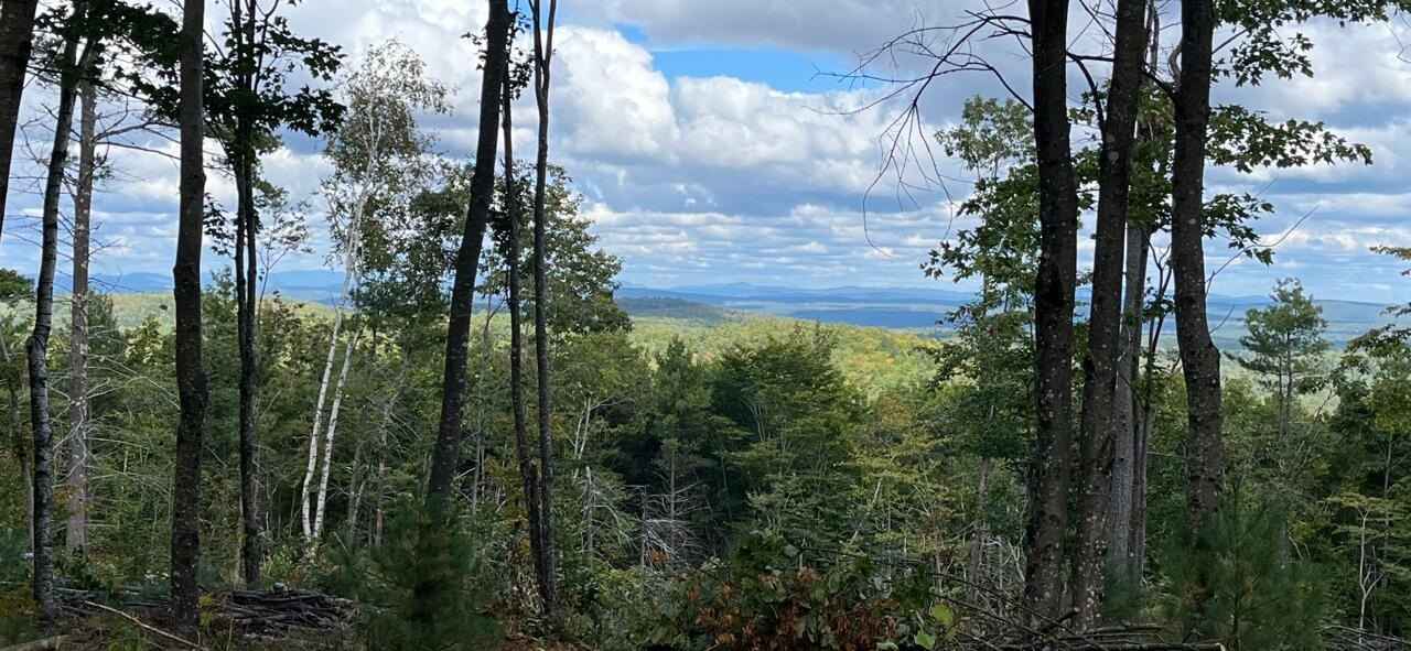 Lot Unit 42b-1 Bear Trap Rd  