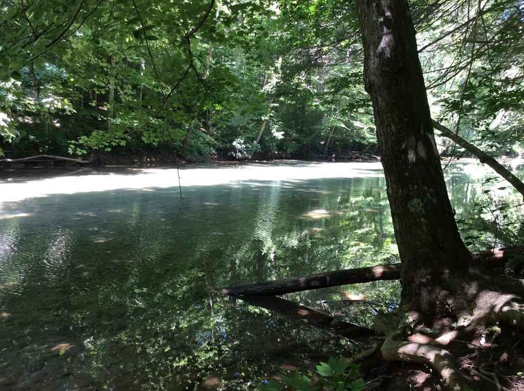 Lot 151 Steel Tram Rdg  