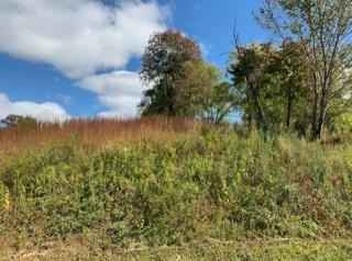 616 THOMPSON CREEK LNLot 73  