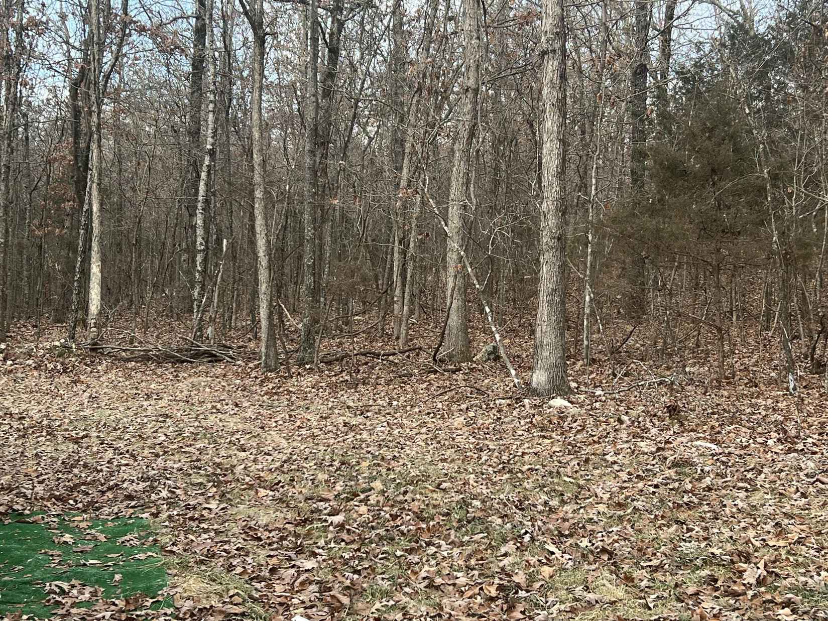 2249 County Rd 359  