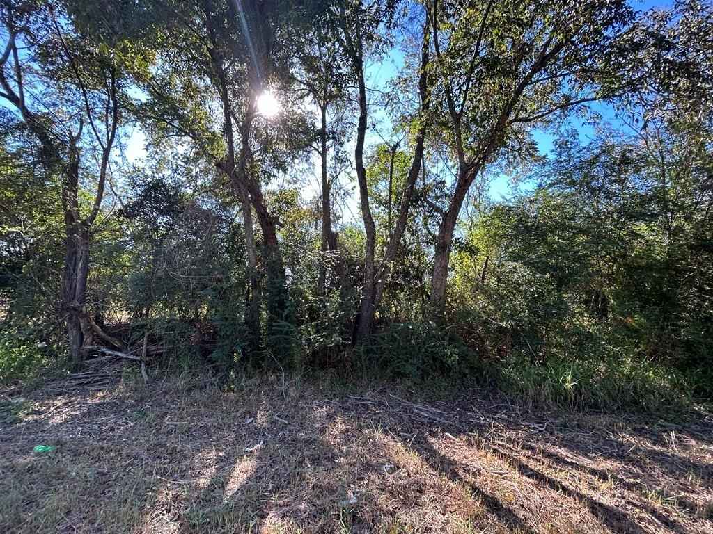 4 297-ac Lot 3 Willie Varnum Rd  