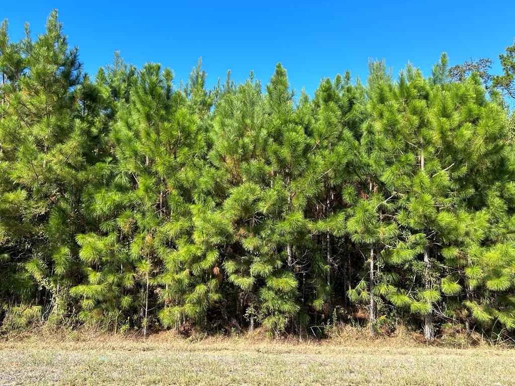 4 588-ac Lot 7 D Hodge Rd  