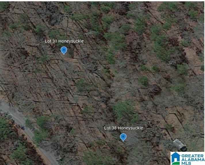 Lot 31 HONEYSUCKLE Ln  