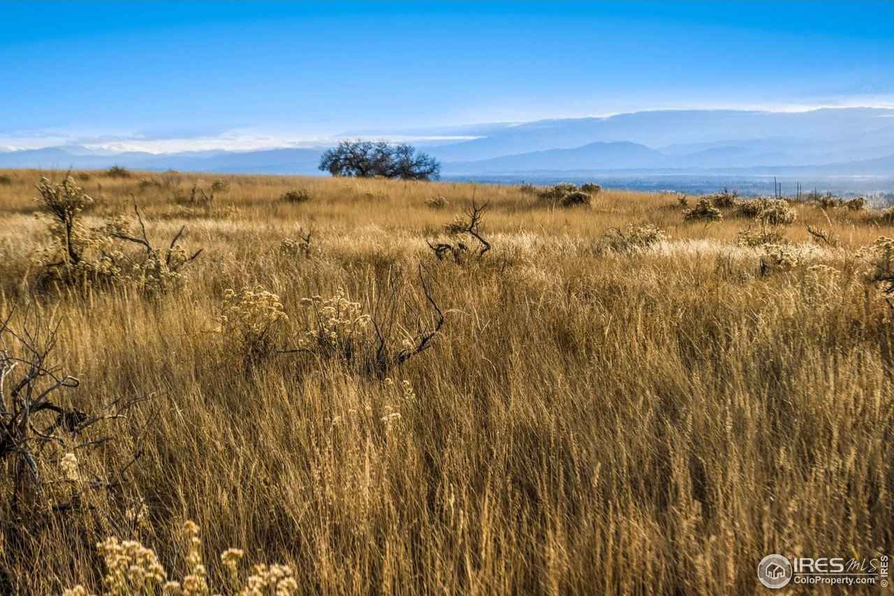 7899 County Road 84 - Lot 2  