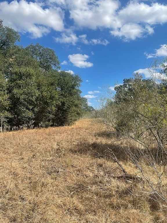 958 County Rd 456  