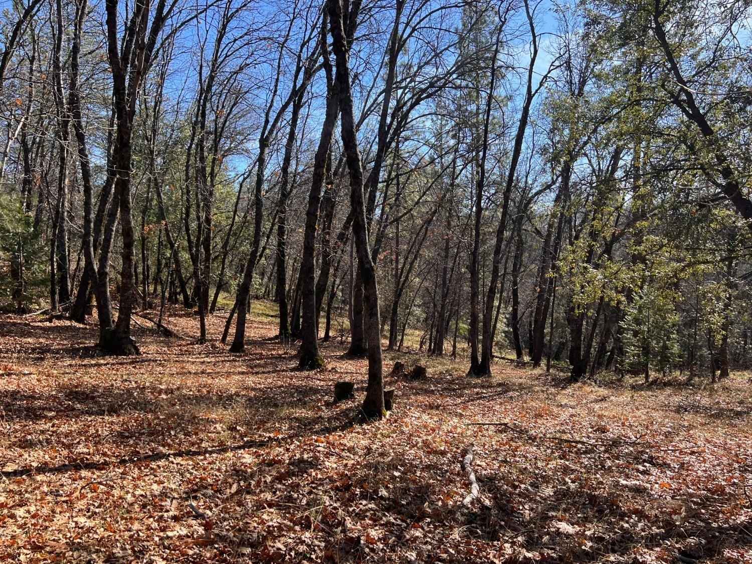 901 Bald Mtn Rd  