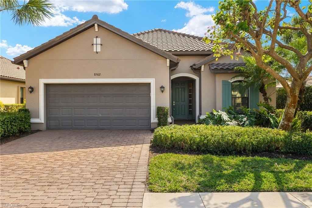 8502 Palacio  