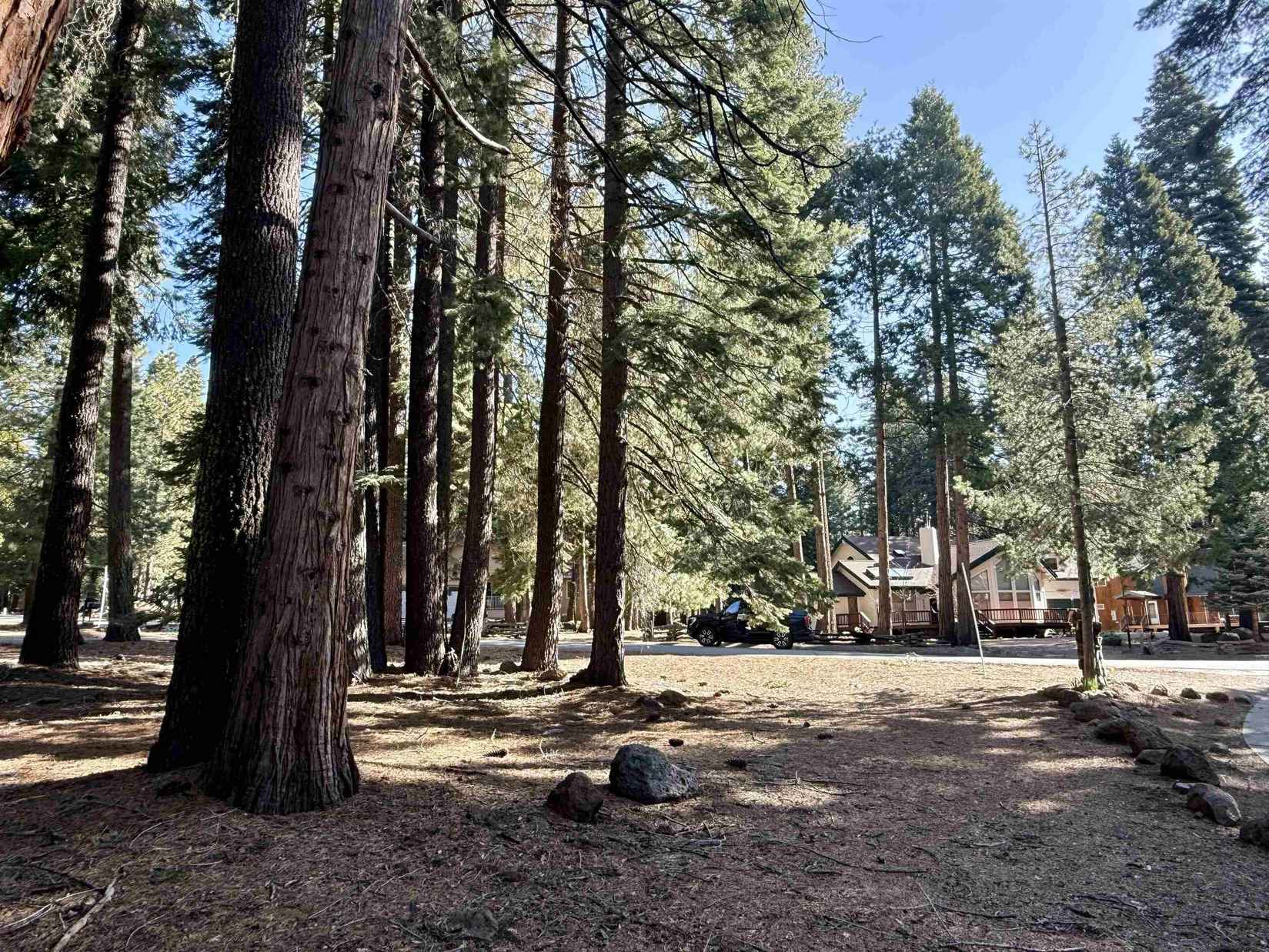 731 Conifer Trl  