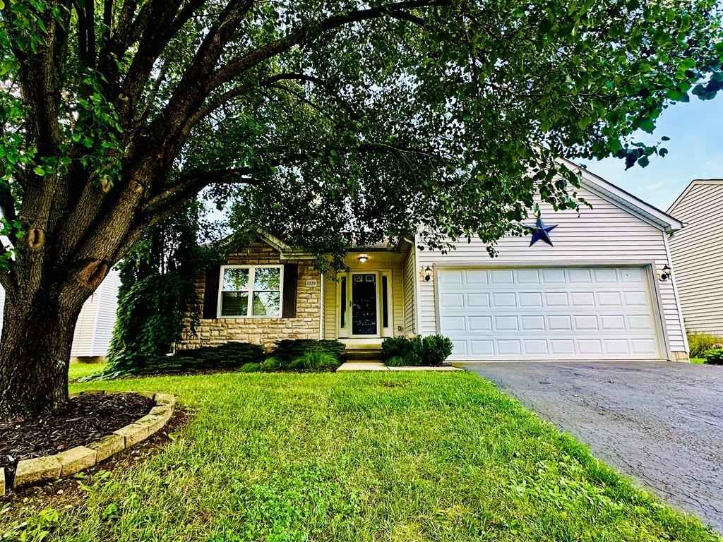 1539 West Quail Run Dr  