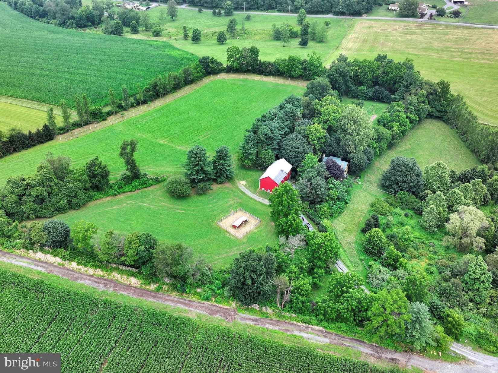 1095 TEXTER MOUNTAIN Rd  