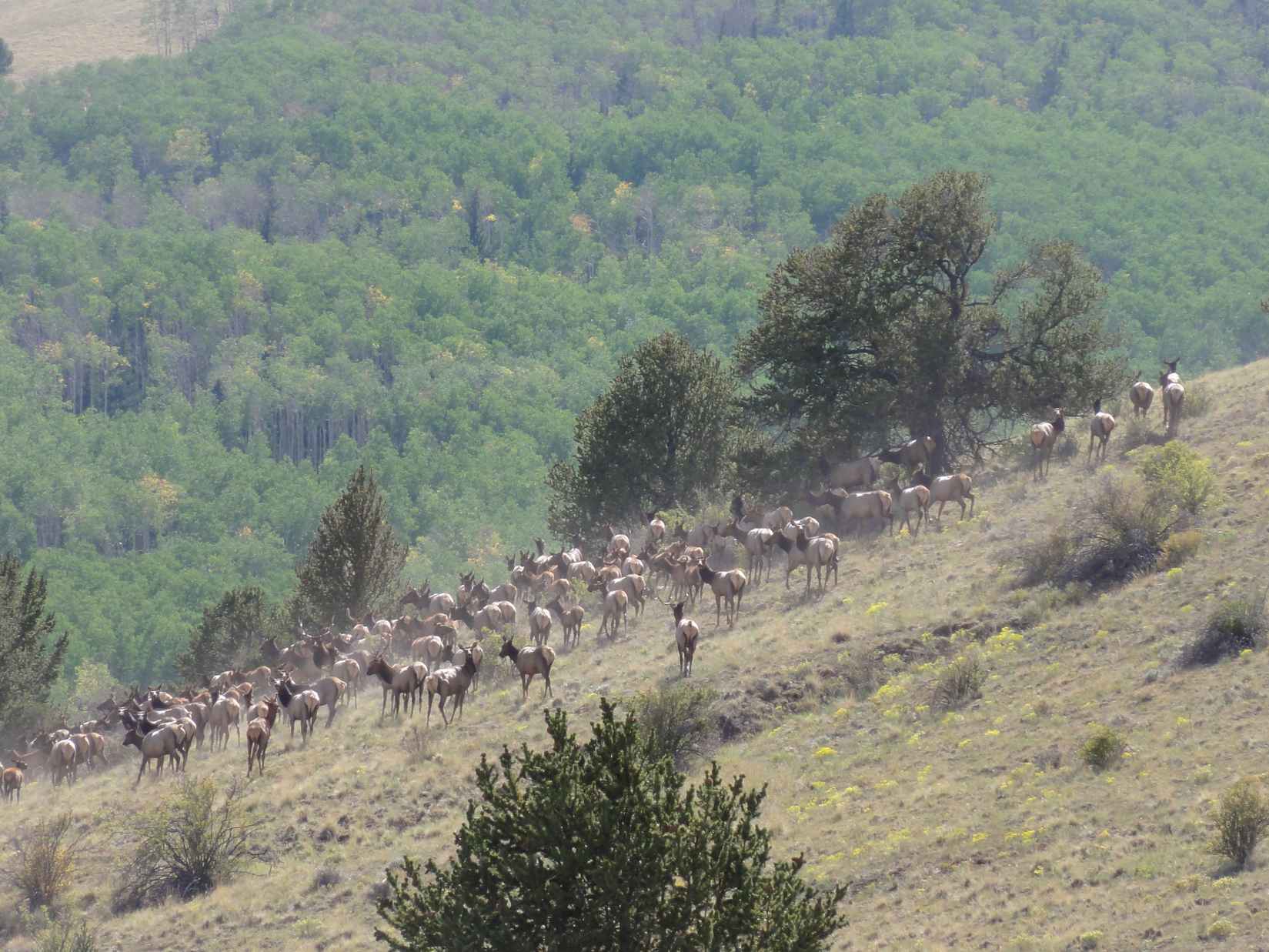 10667 Colorado 9  