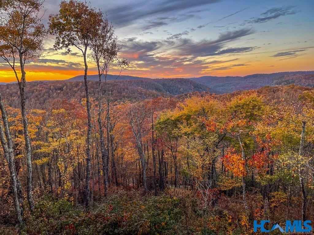 1696 Continental Dr Lot 43  