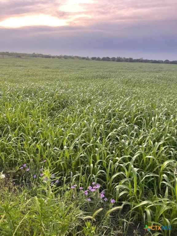 Private Road 3642 Lot 7  