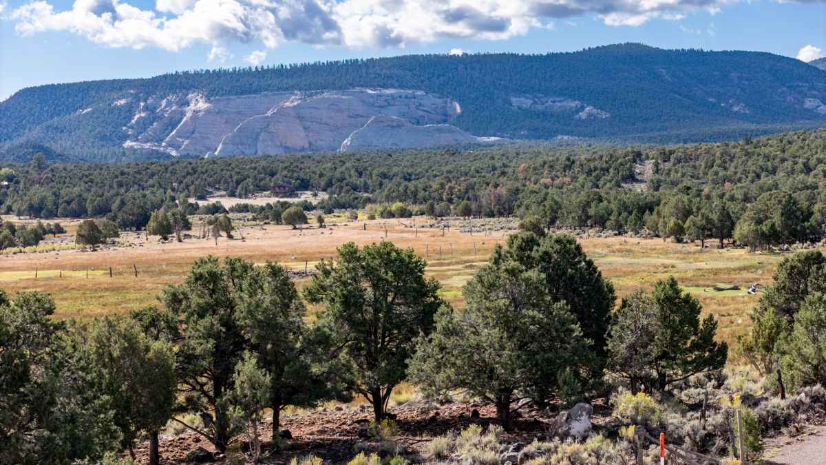 251 Utah 12  