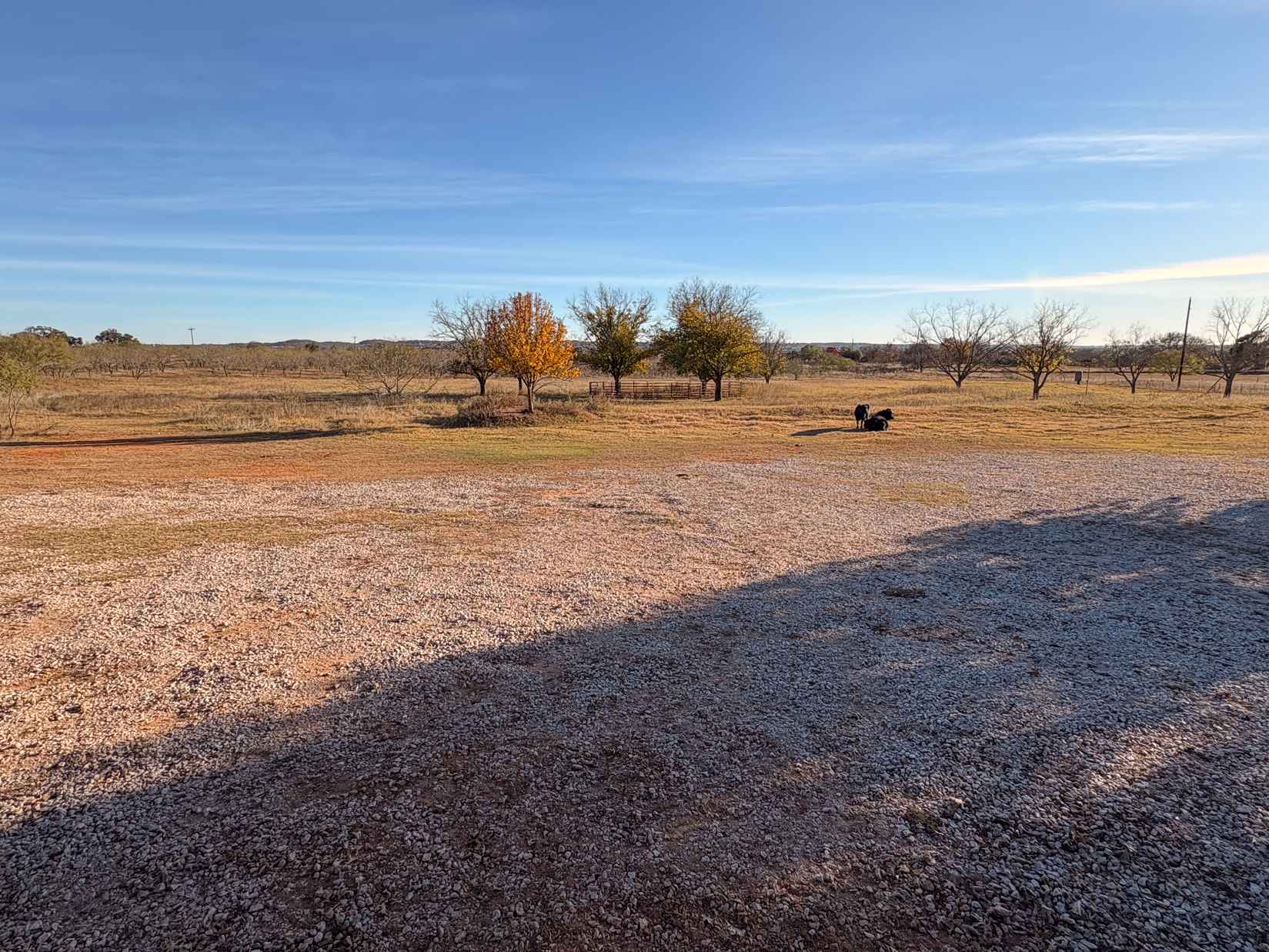 226 Morales Duecker Rd  