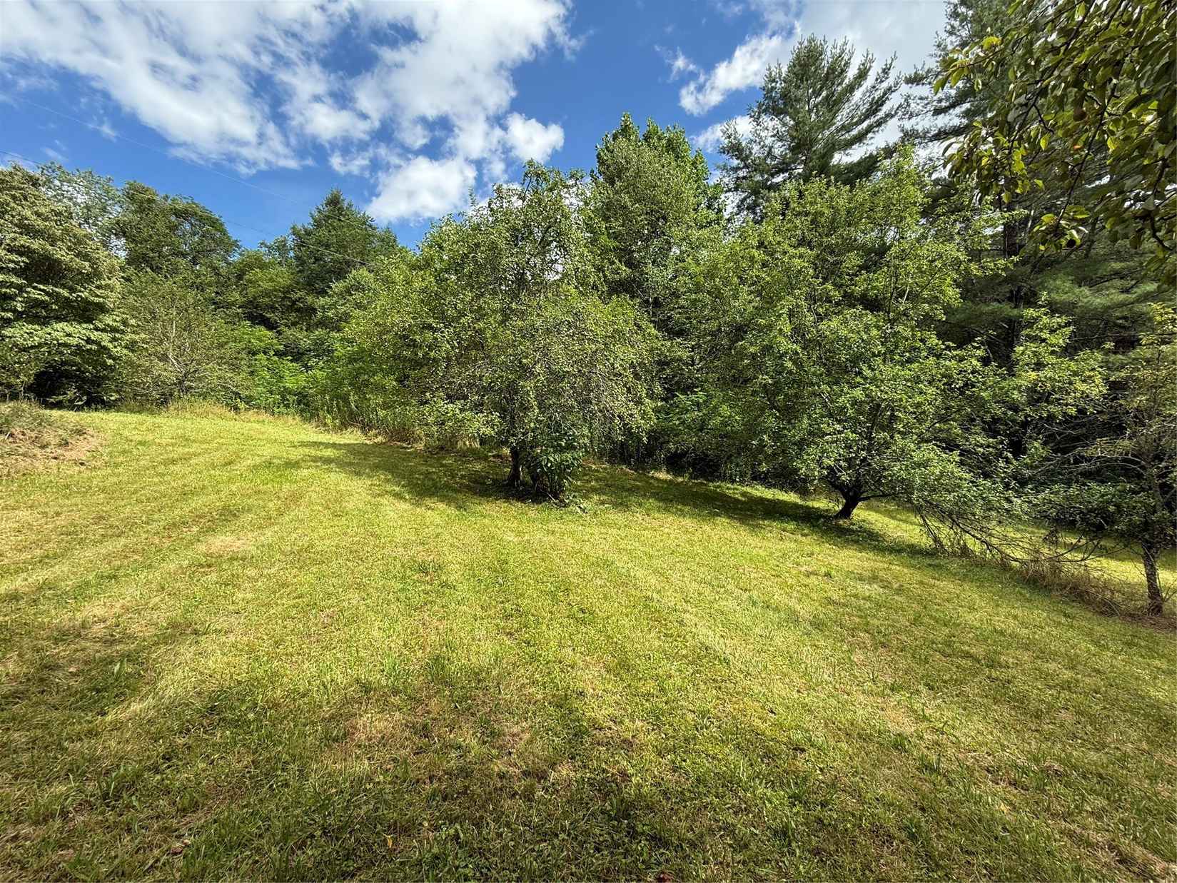 48 Upsy Daisy Ln Lot 1  