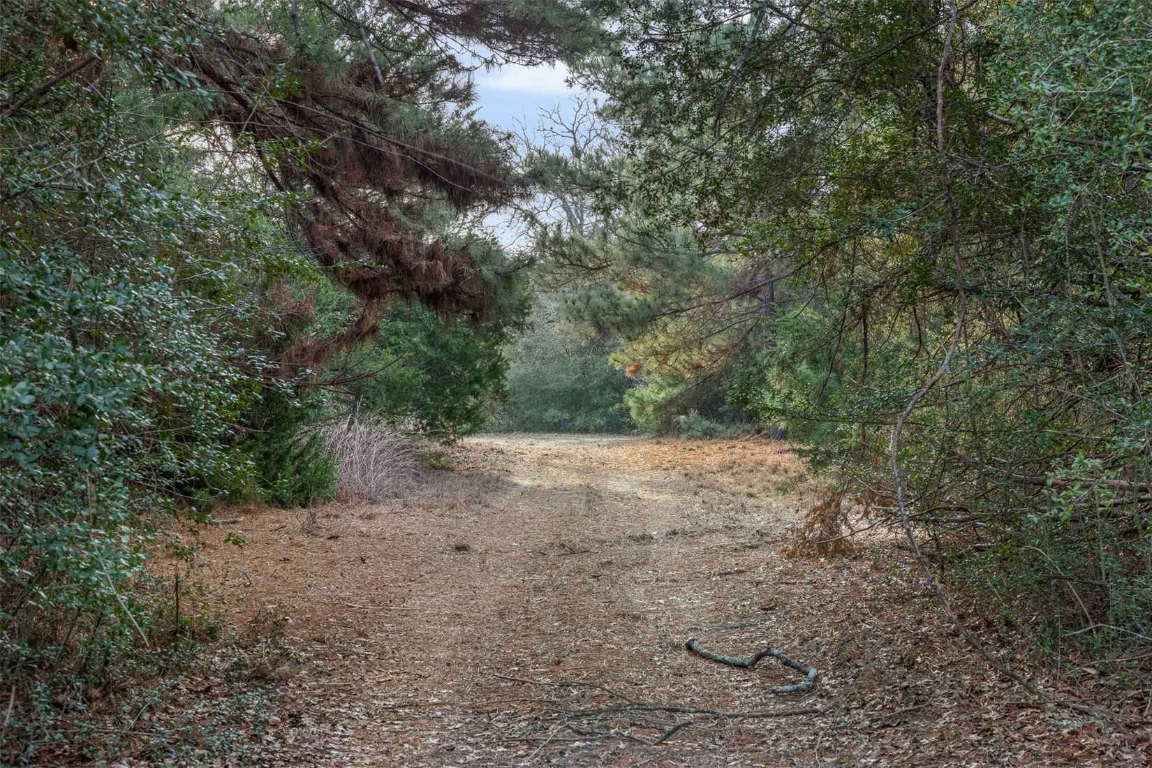 15147 County Rd 499  
