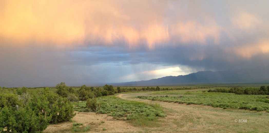 BBK 634 ACRE Parcel  