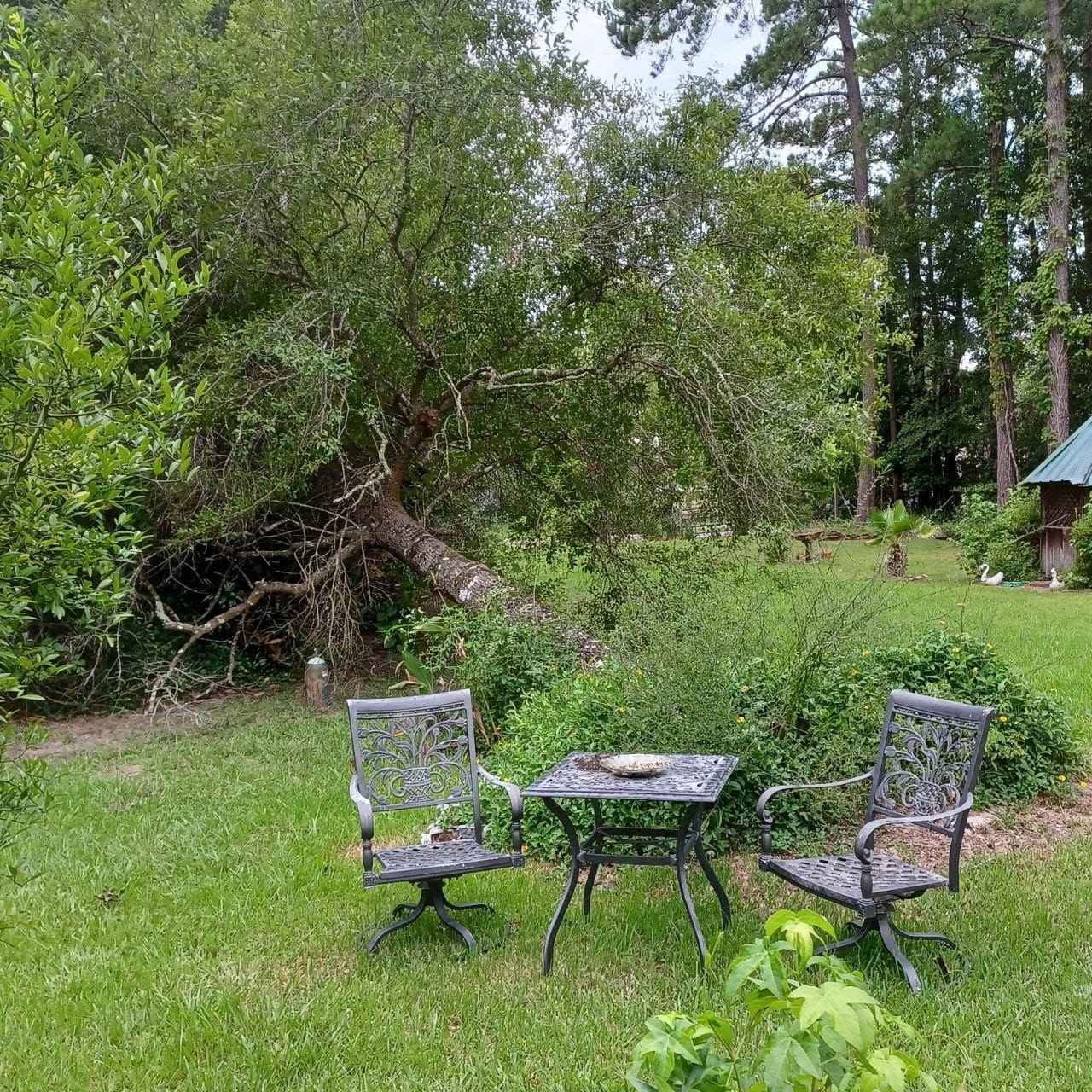 755 Evangeline Dr  